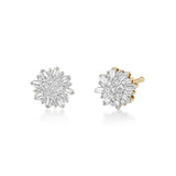 Eclat Diamond Earrings