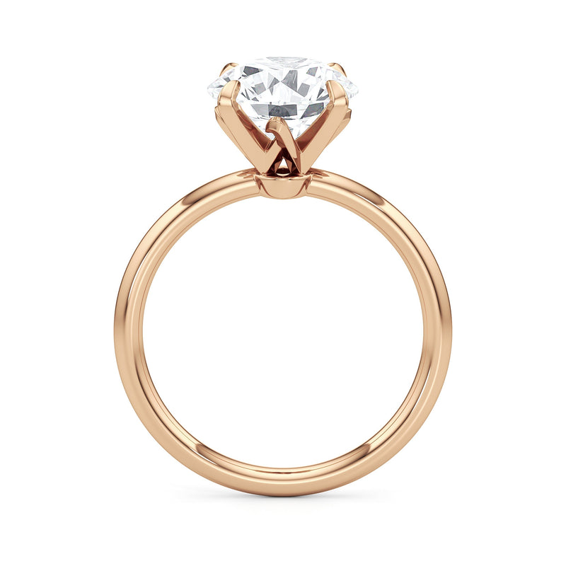 The W Evolution Engagement Ring