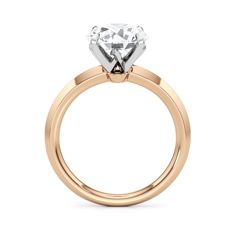 The W Evolution Engagement Ring