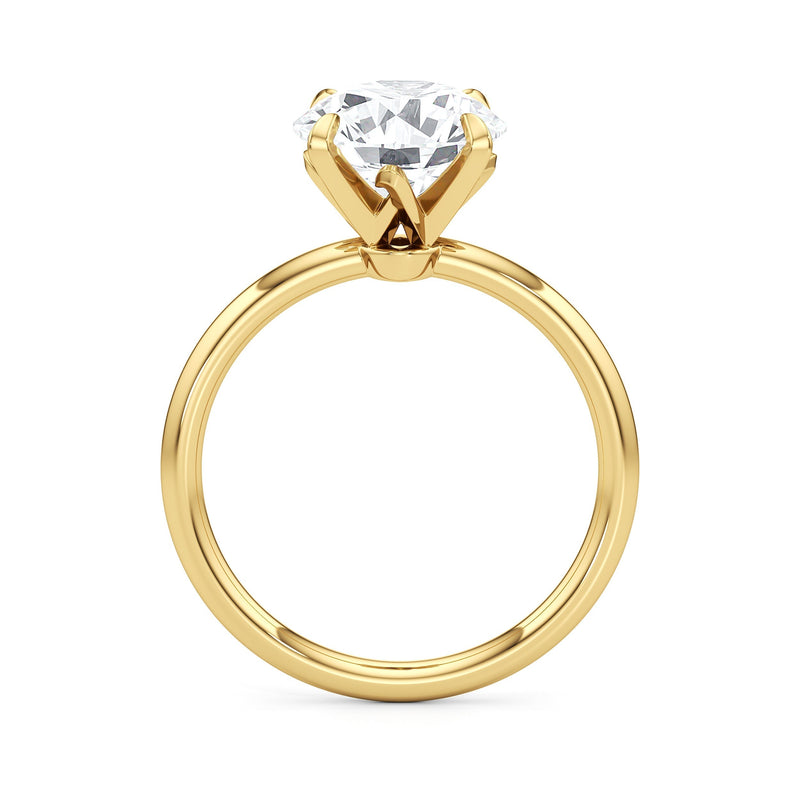 The W Evolution Engagement Ring