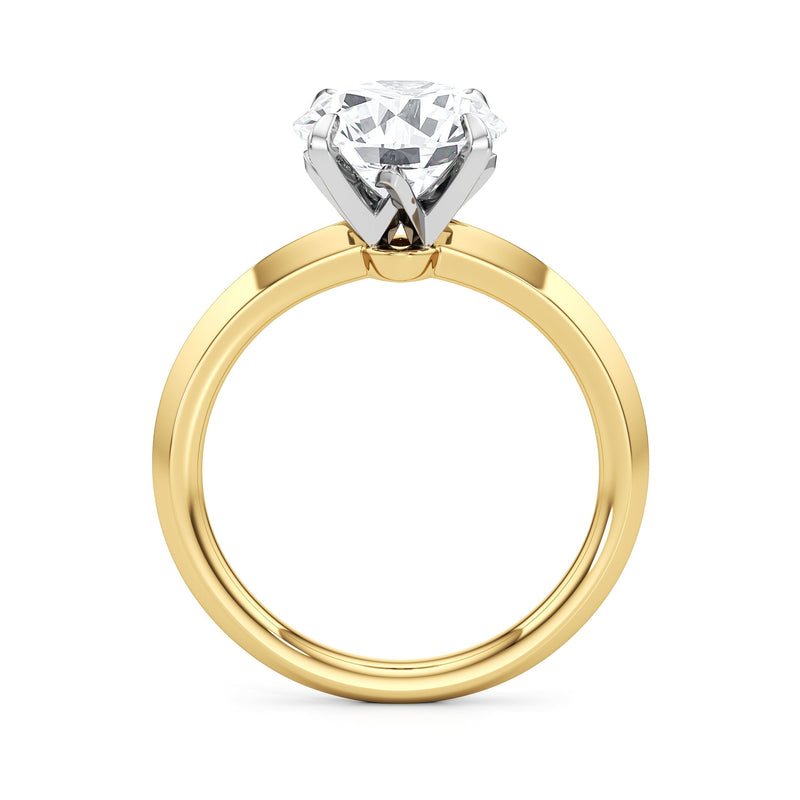 The W Evolution Engagement Ring