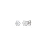 Six Prong Round Stud Earrings