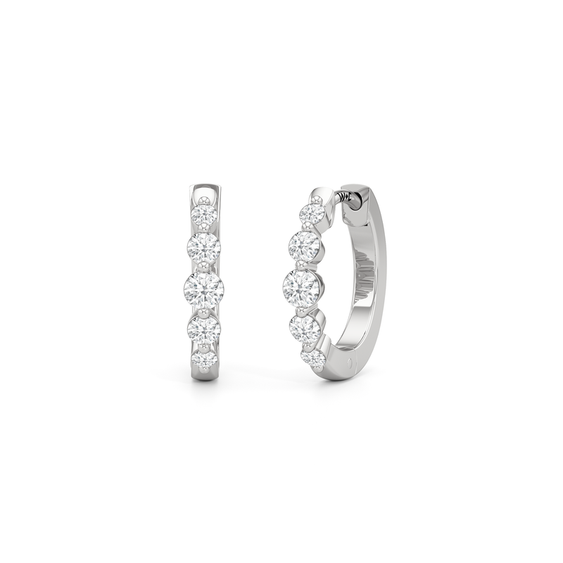 The Quinn Hoops