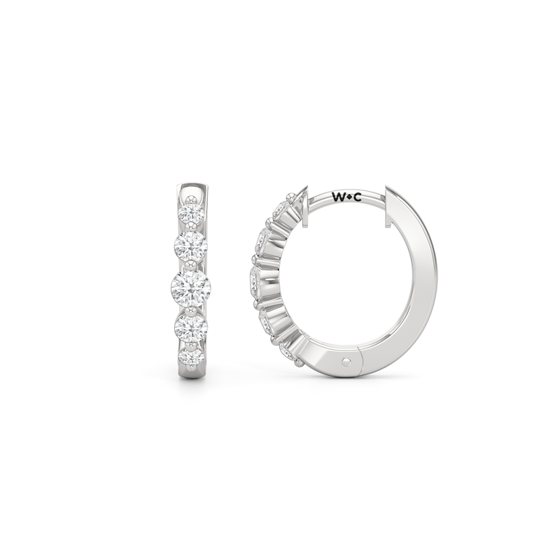 The Quinn Hoops
