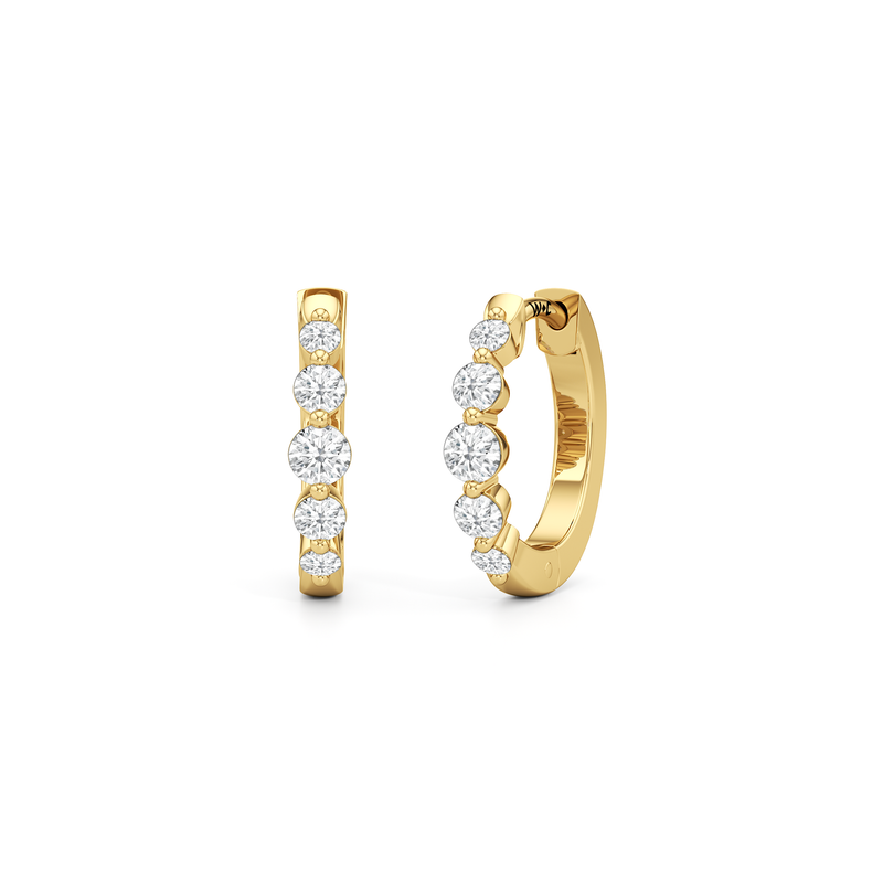 The Quinn Hoops