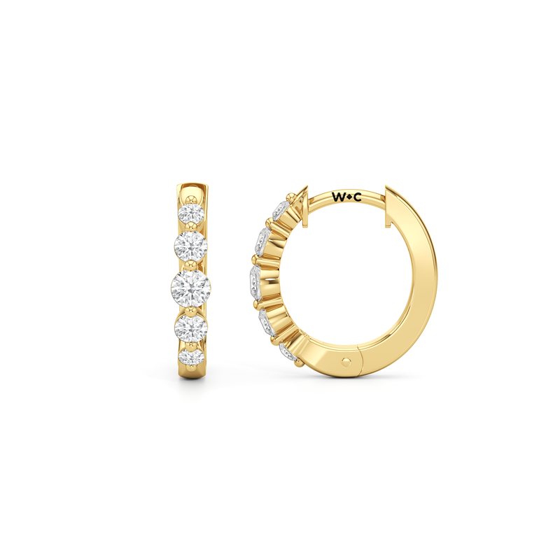 The Quinn Hoops