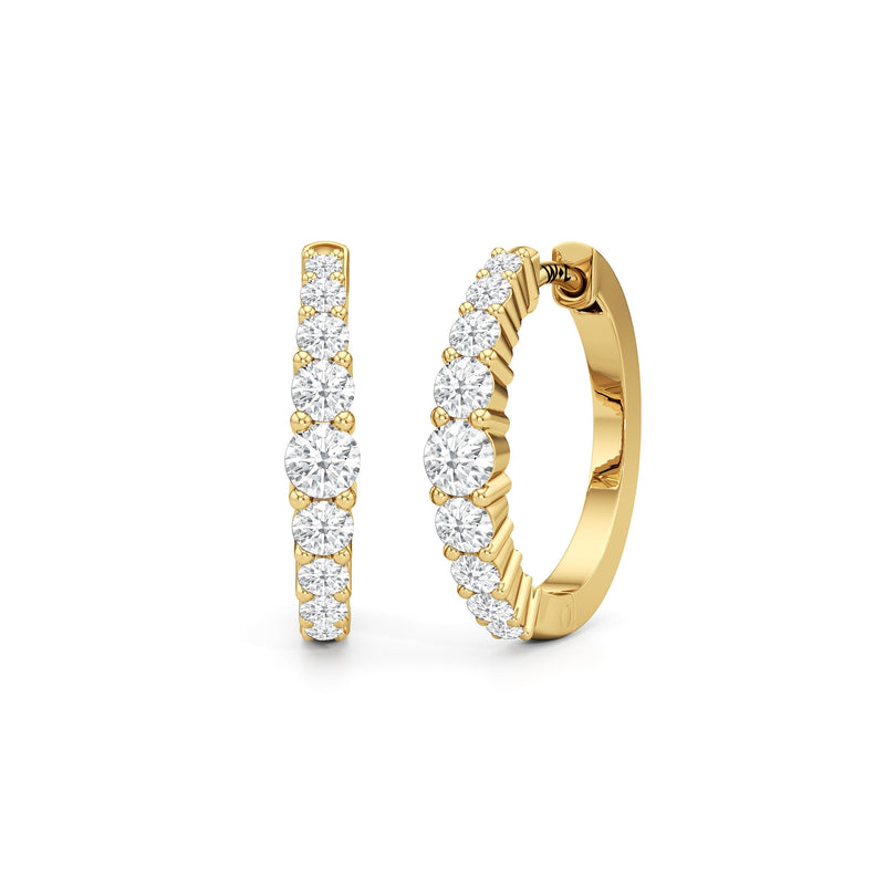 The Danielle Hoops