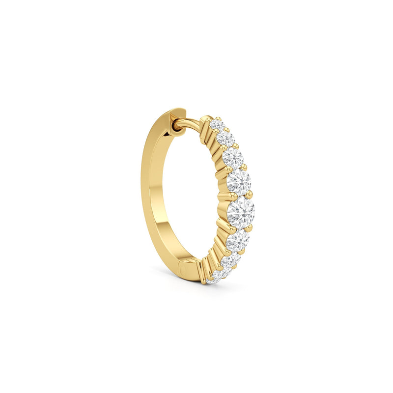 The Danielle Hoops