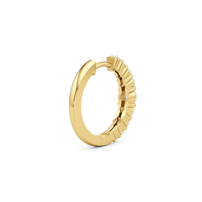 The Danielle Hoops