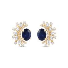 Load image into Gallery viewer, Celestia Colour Couture Earrings
