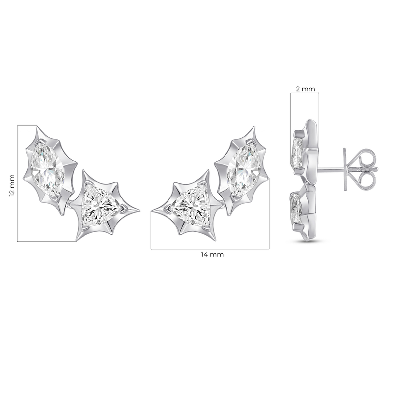 Vector Earrings