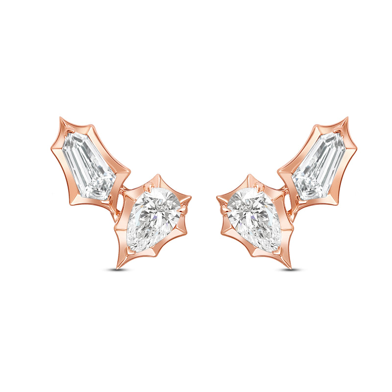 Petalix Earrings