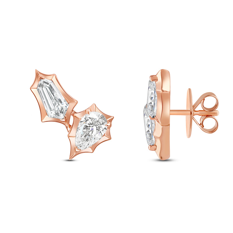 Petalix Earrings