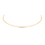 Serelia Hasli Choker Necklace