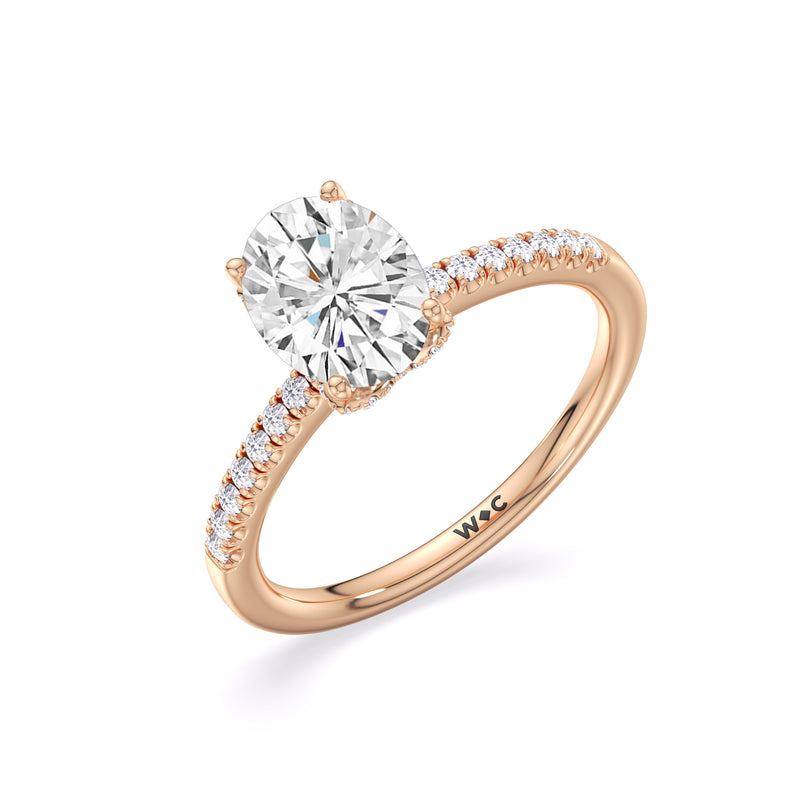 Arc Hidden Halo Engagement Ring