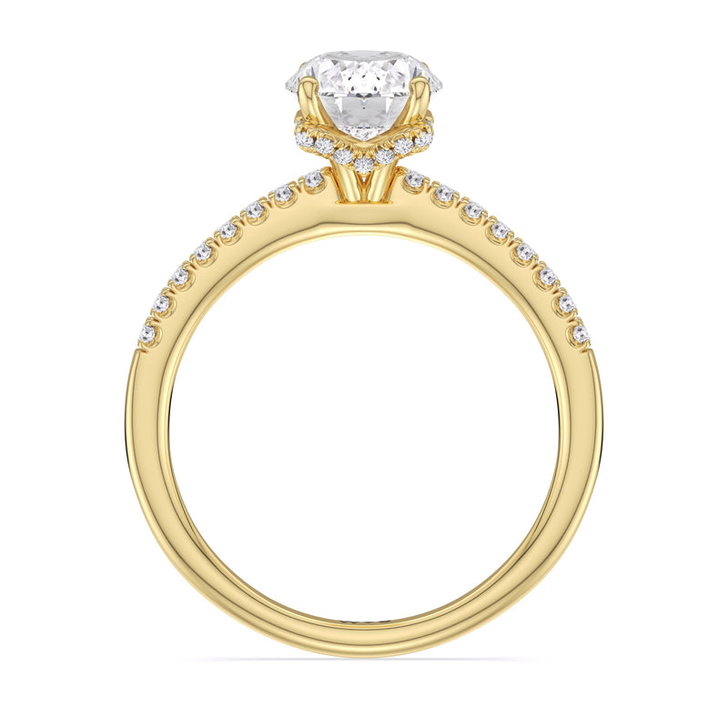 Arc Hidden Halo Engagement Ring