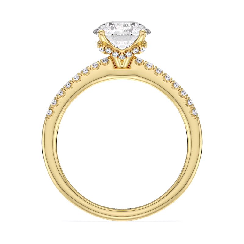Arc Hidden Halo Engagement Ring