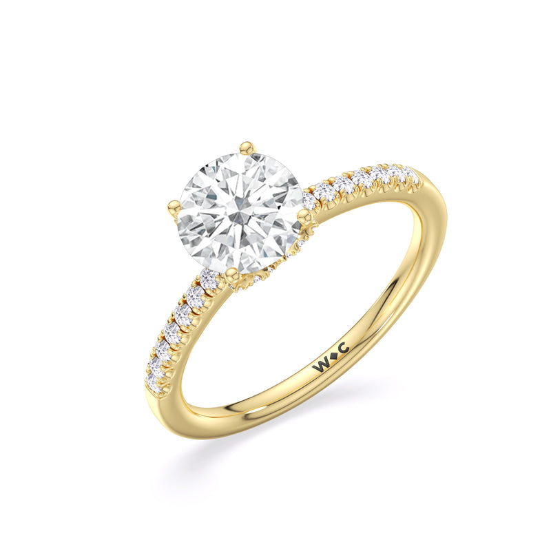 Arc Hidden Halo Engagement Ring