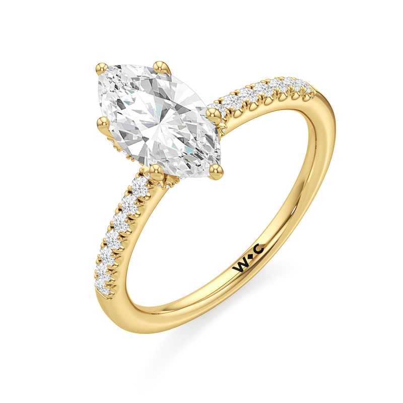 Arc Hidden Halo Engagement Ring