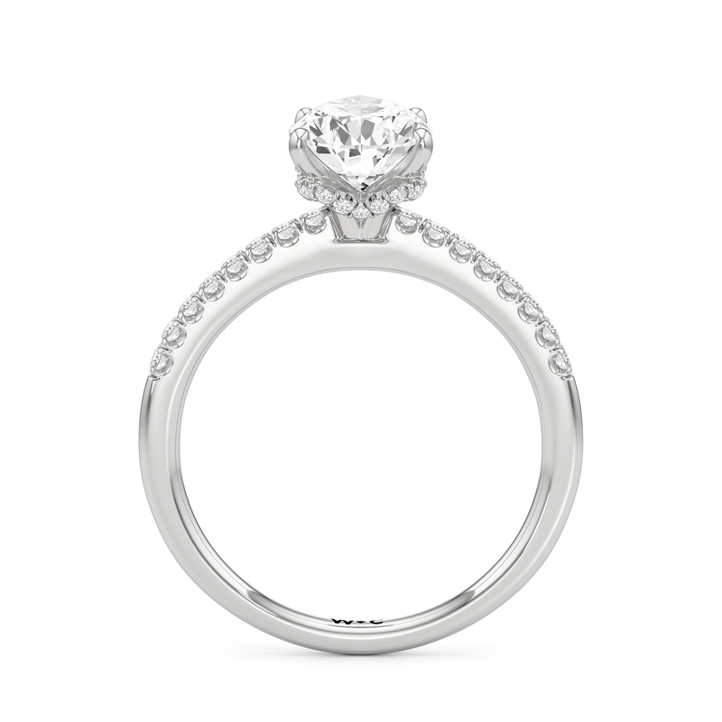 Arc Hidden Halo Engagement Ring