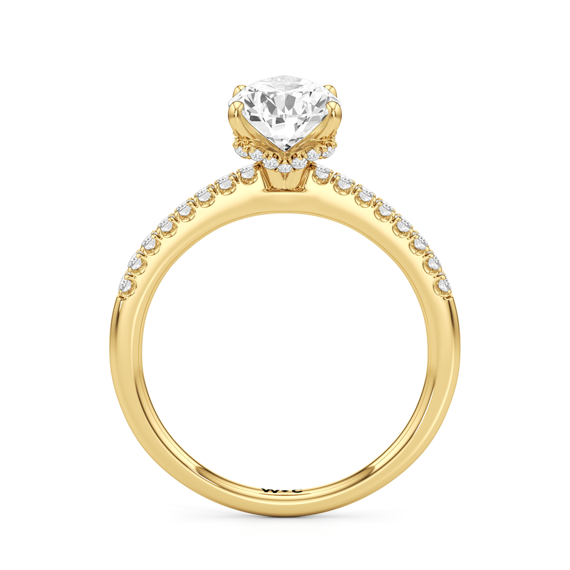 Arc Hidden Halo Engagement Ring