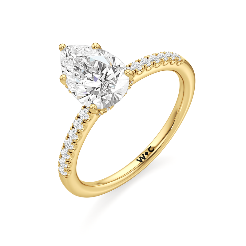 Arc Hidden Halo Engagement Ring