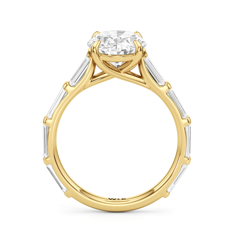 The Veronica Ring