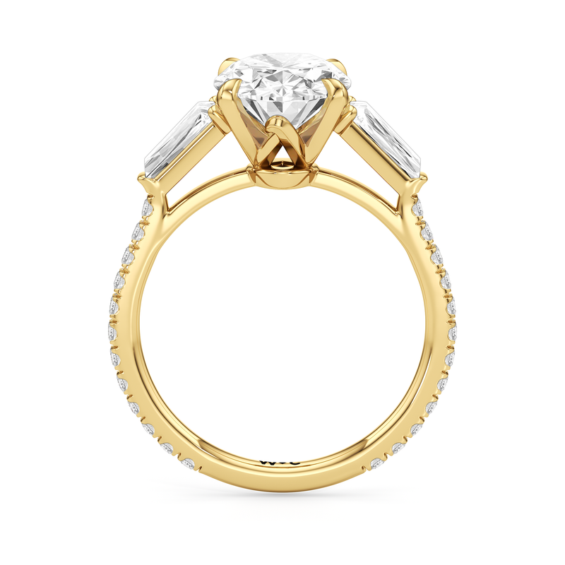 The W Horizon Engagement Ring