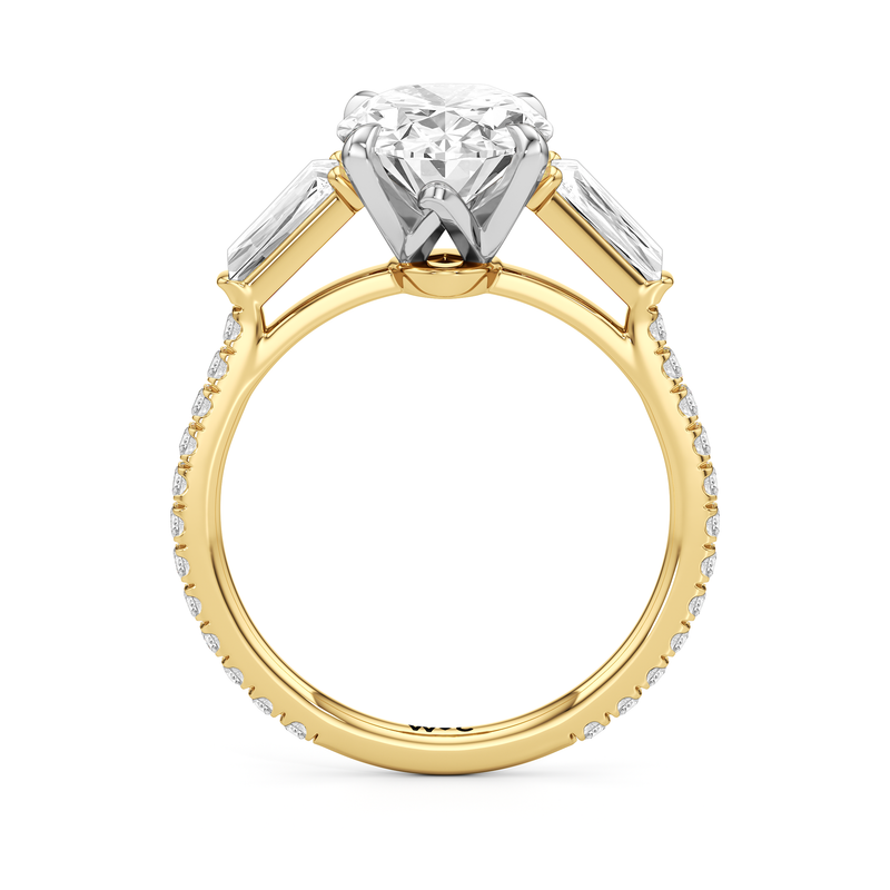 The W Horizon Engagement Ring