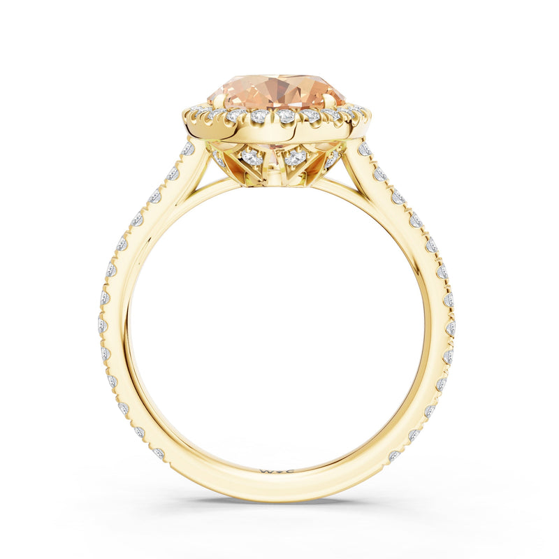 The Roselle Ring