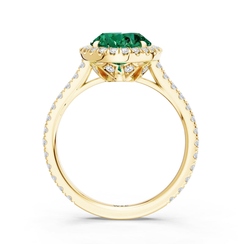 The Roselle Ring
