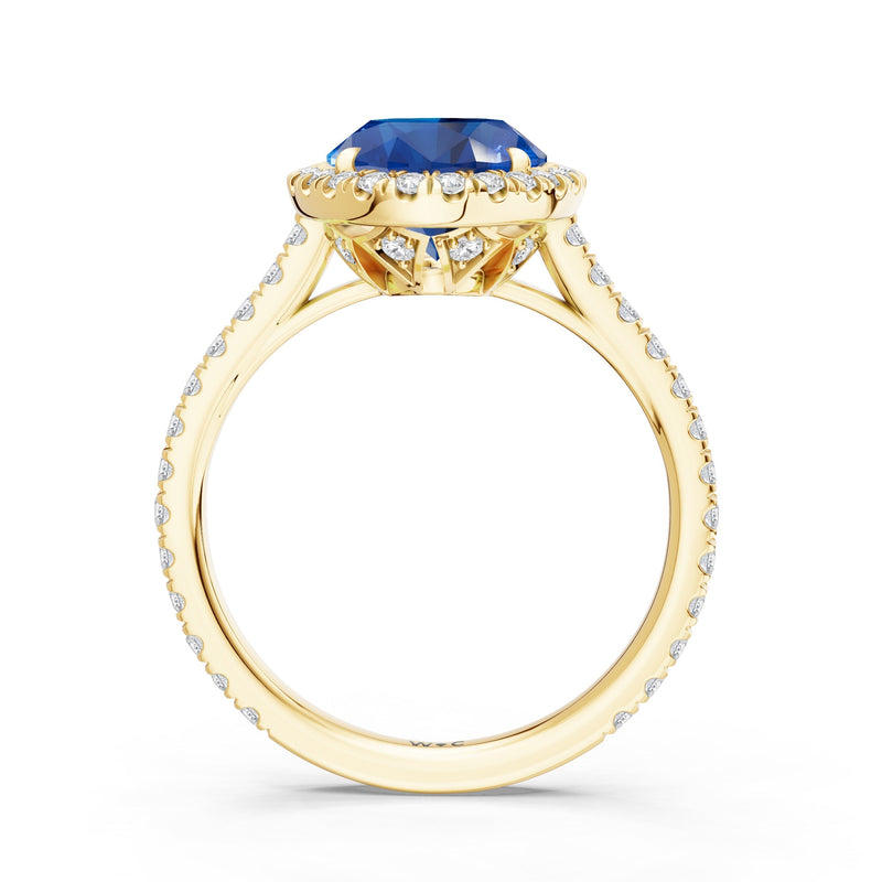 The Roselle Ring