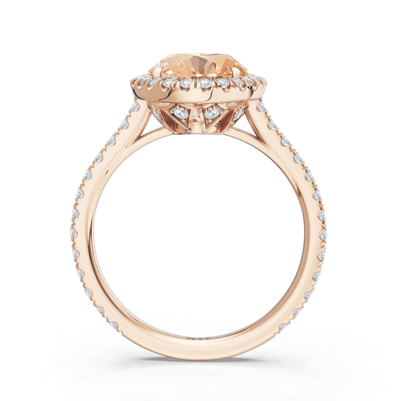 The Roselle Ring
