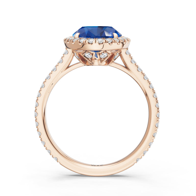 The Roselle Ring