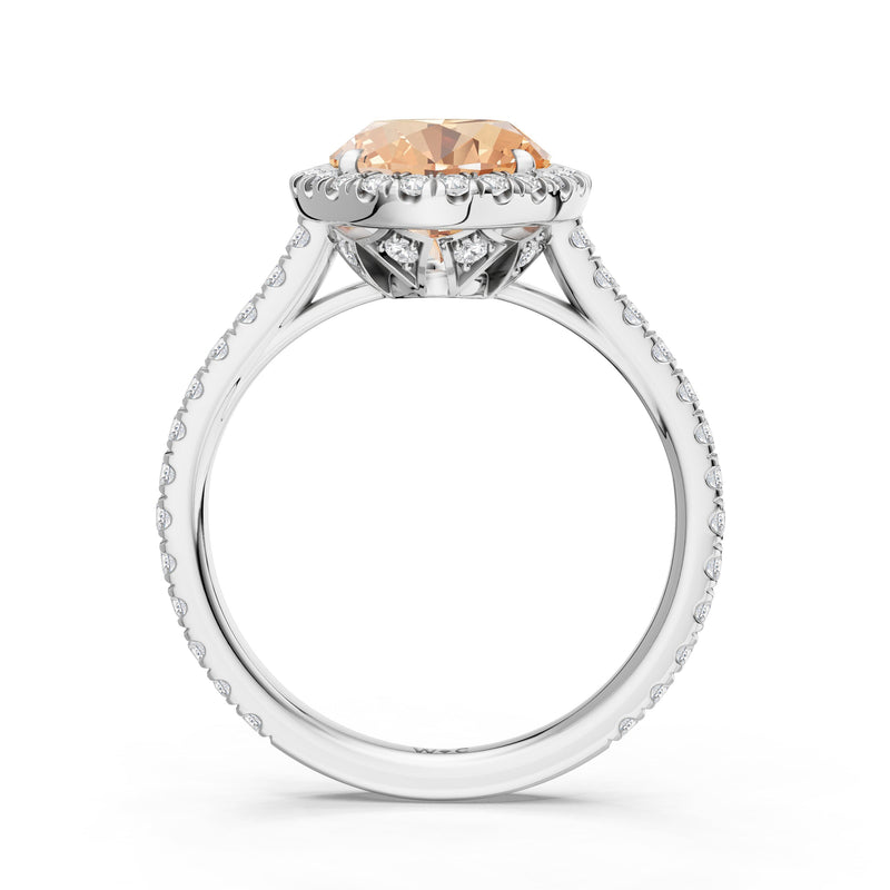 The Roselle Ring
