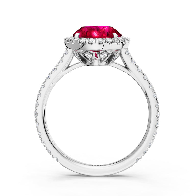 The Roselle Ring