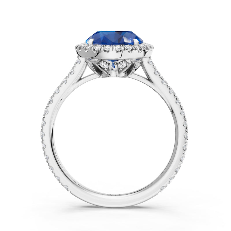 The Roselle Ring