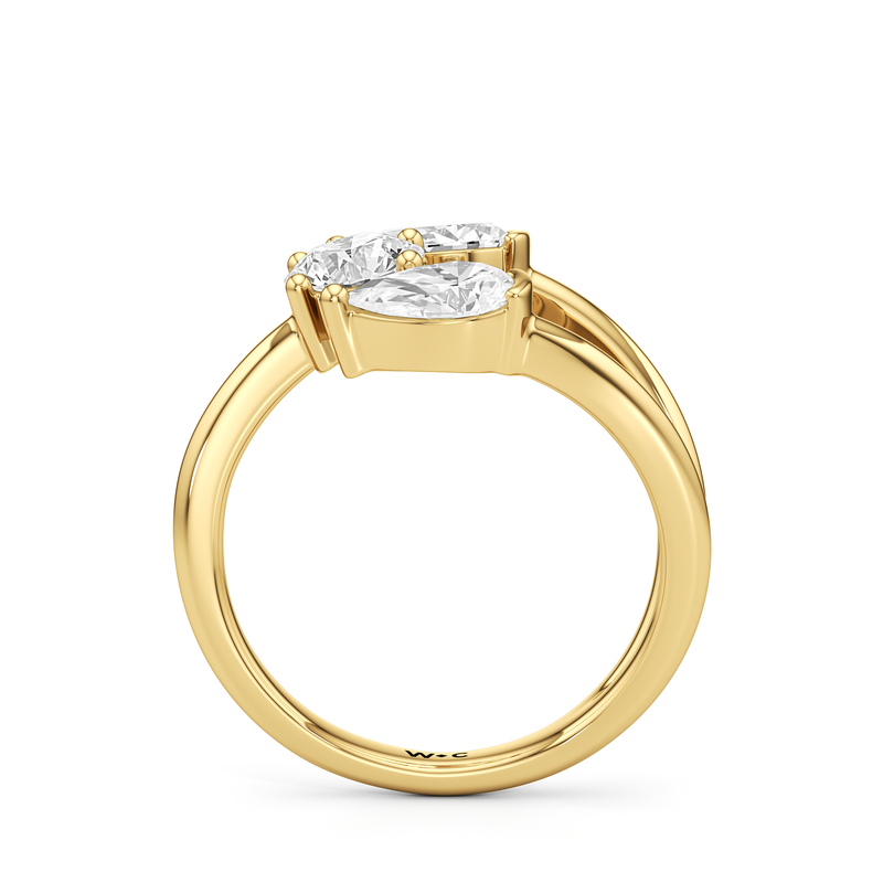 The Isa Ring