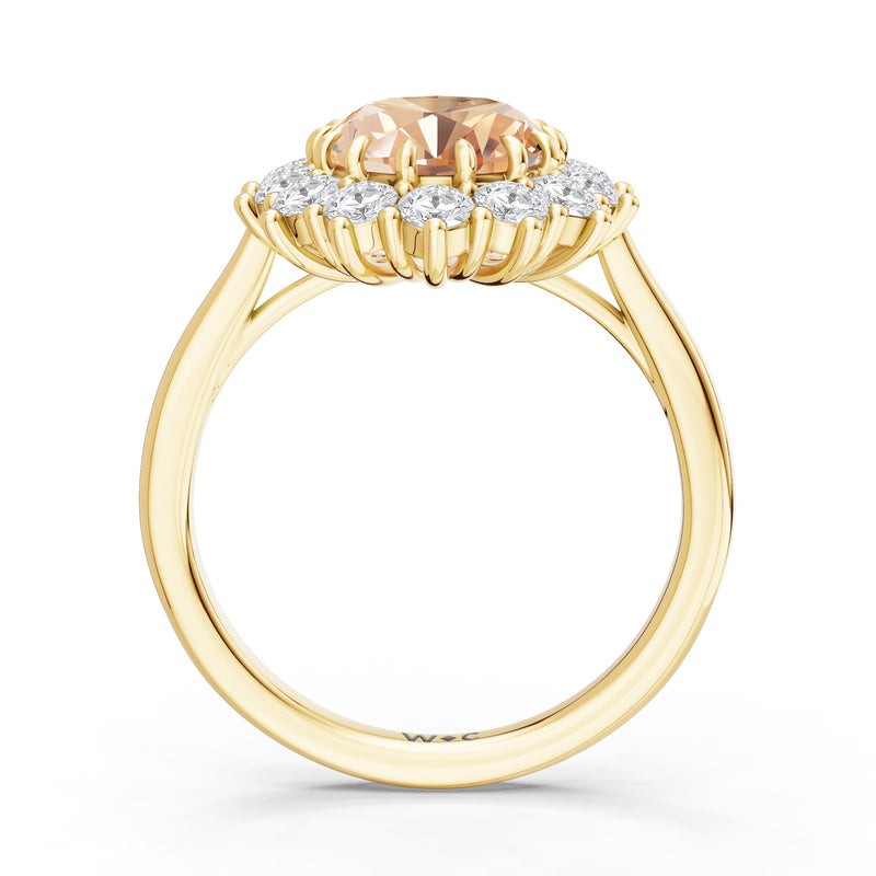 The Spencer Ring