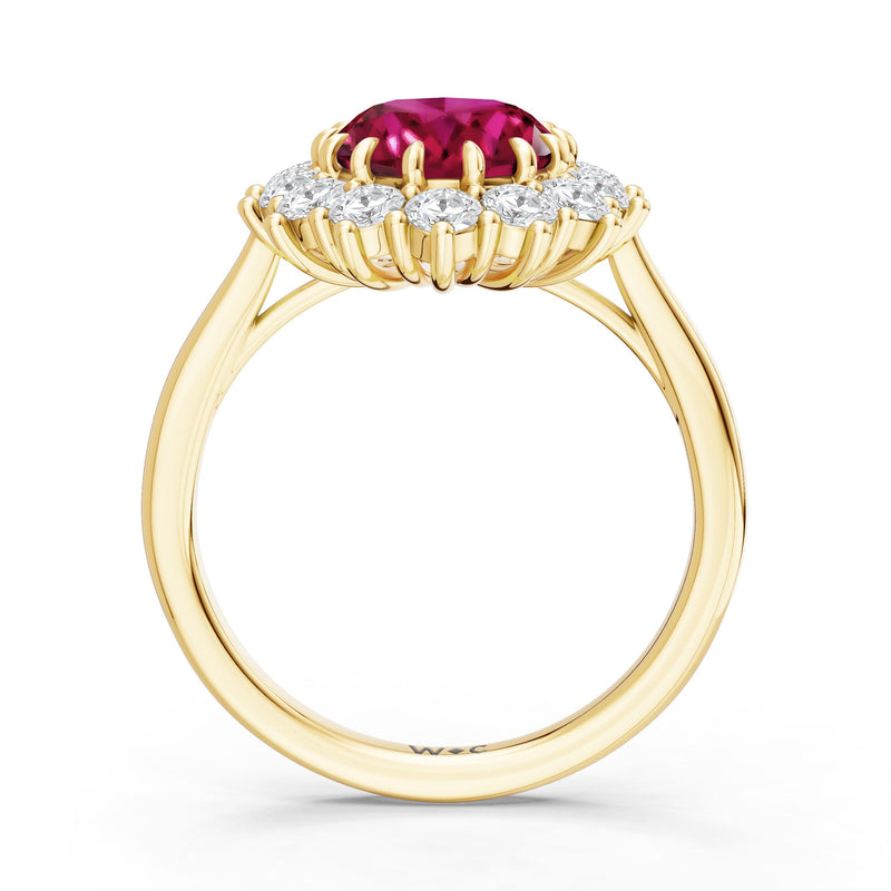 The Spencer Ring