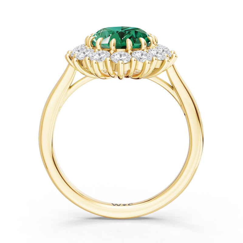 The Spencer Ring