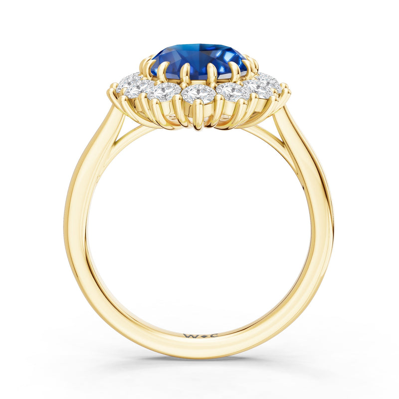 The Spencer Ring