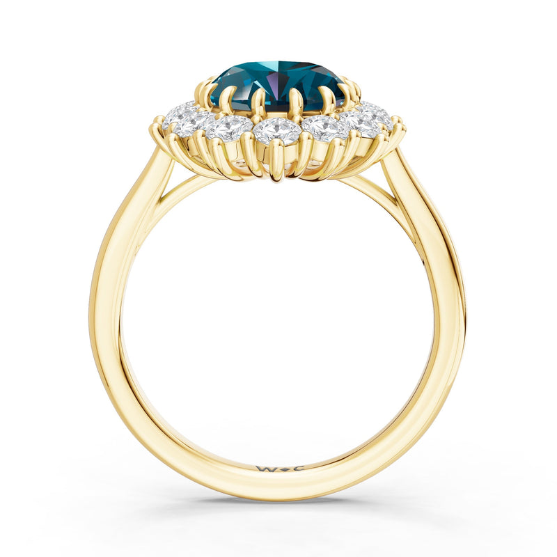 The Spencer Ring