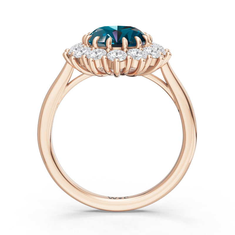 The Spencer Ring