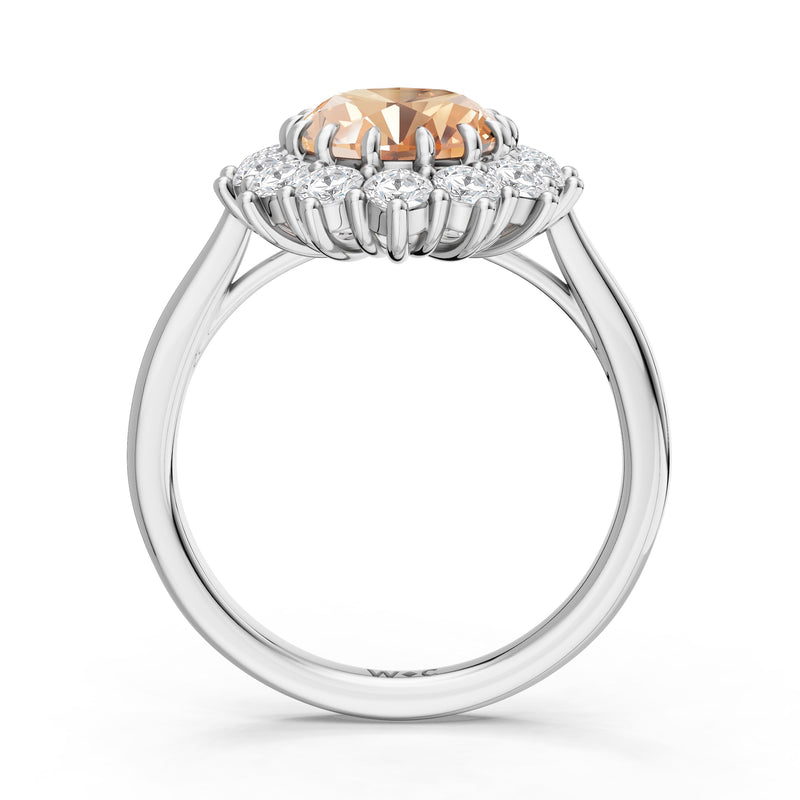 The Spencer Ring