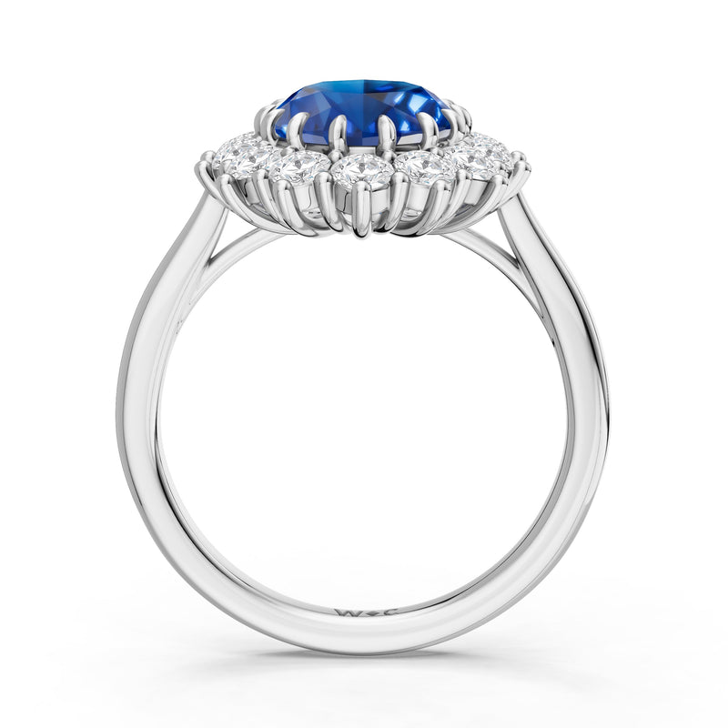 The Spencer Ring