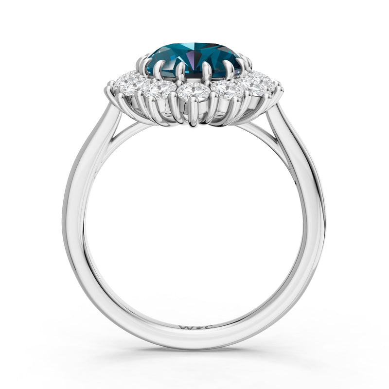 The Spencer Ring
