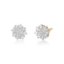 Load image into Gallery viewer, Eclat Diamond Earrings
